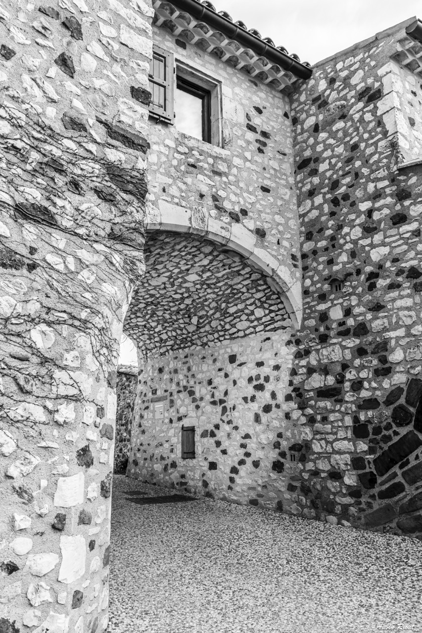 Photo_2